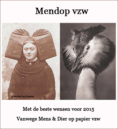 Nieuwjaarswens Mendop 2015