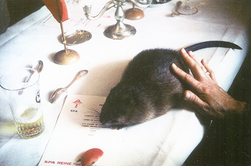 Schenking LE - muskusrat Rex