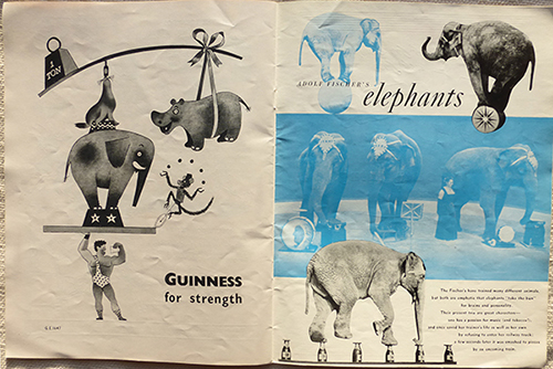 Brochure olifanten