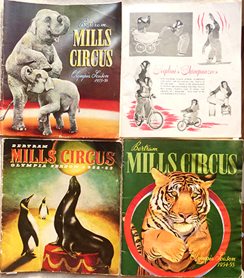 Brochure Mills