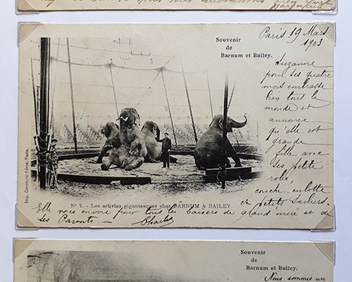 cpa Barnum et Bailey 1903