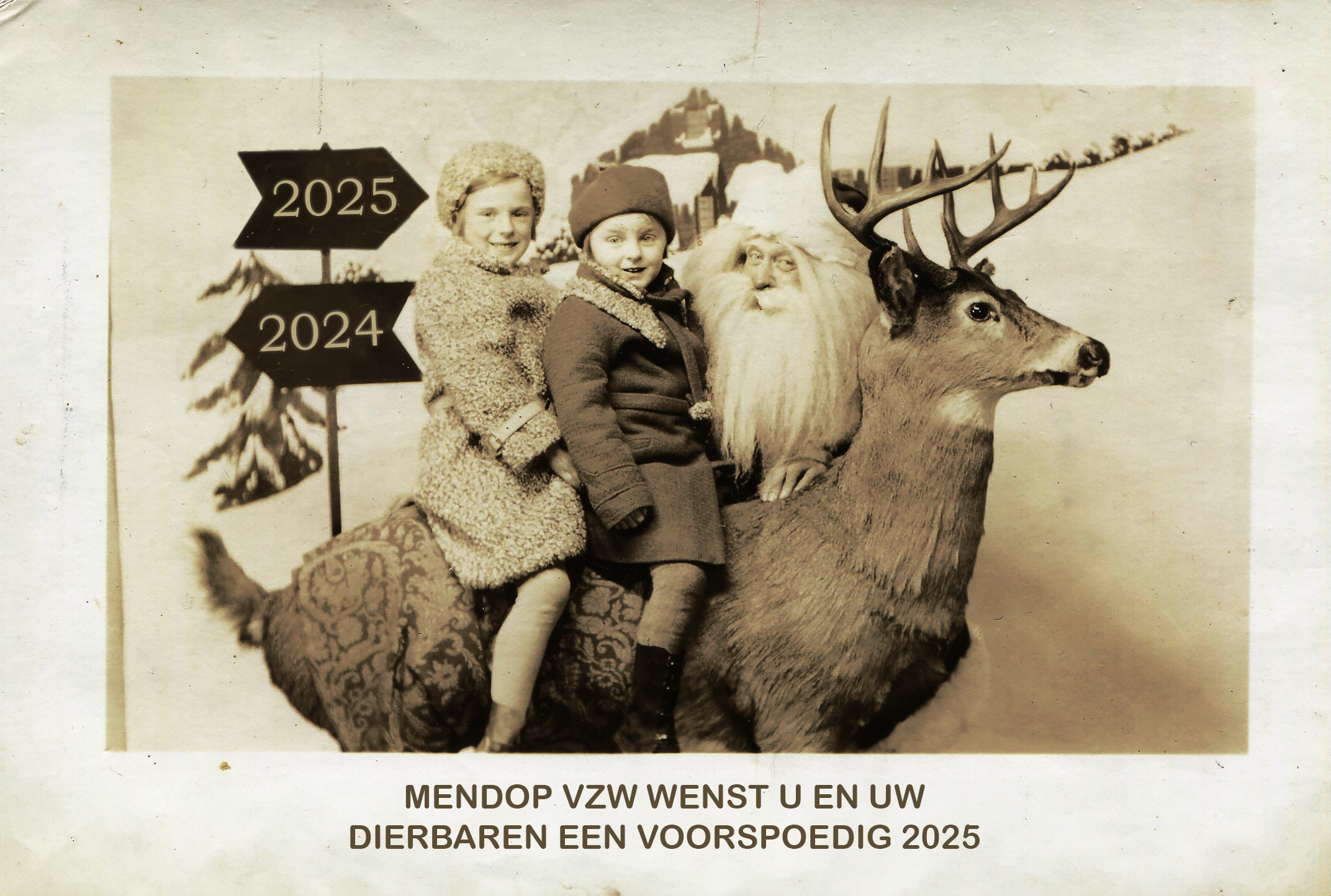 Nieuwjaar 2025